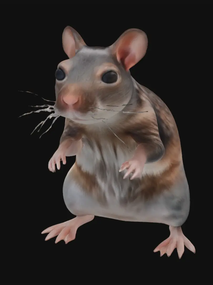 rat