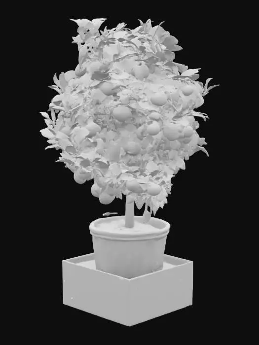 3D model for Lemon tree