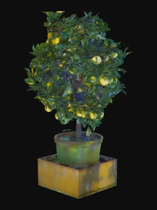 3D model for Lemon tree