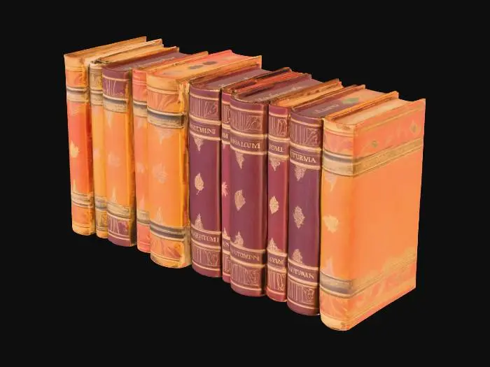 3D model for row of antique books, with romantic autumn inspired book covers, vintage