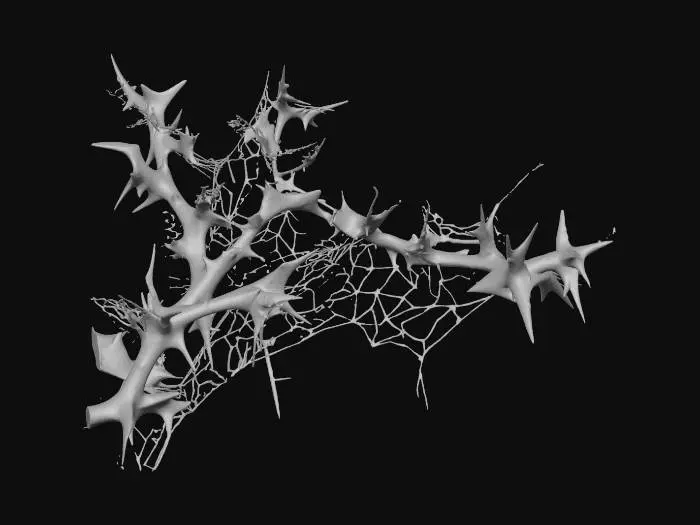 3D model for Thorny Web