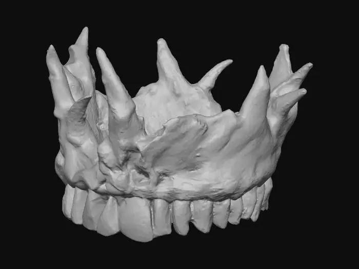 3D model for Teeth Bowl