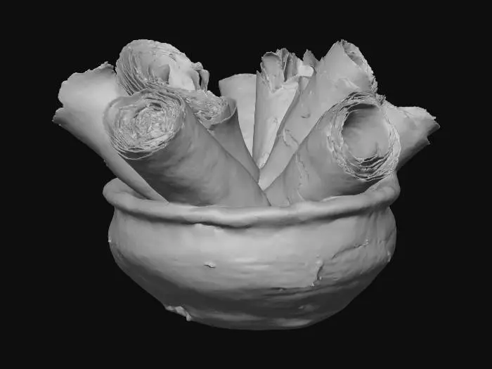 3D model for Ancient Scrolls in a Vessel