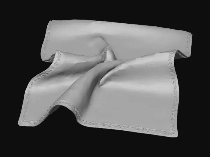 3D model for Napkin with folds