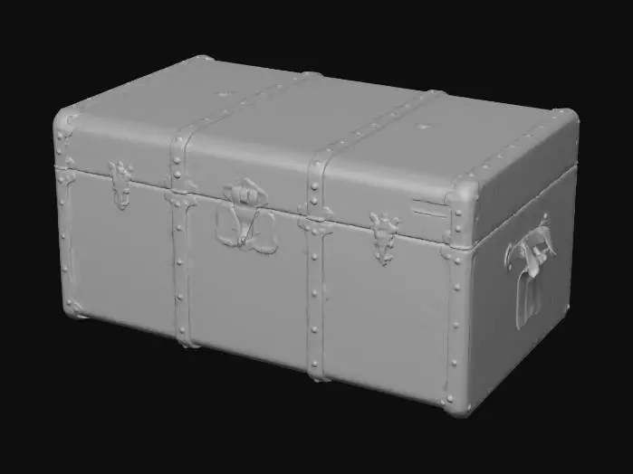 3D model for Trunk Black Golden