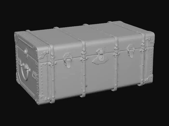 3D model for Trunk Vintage MustardColor