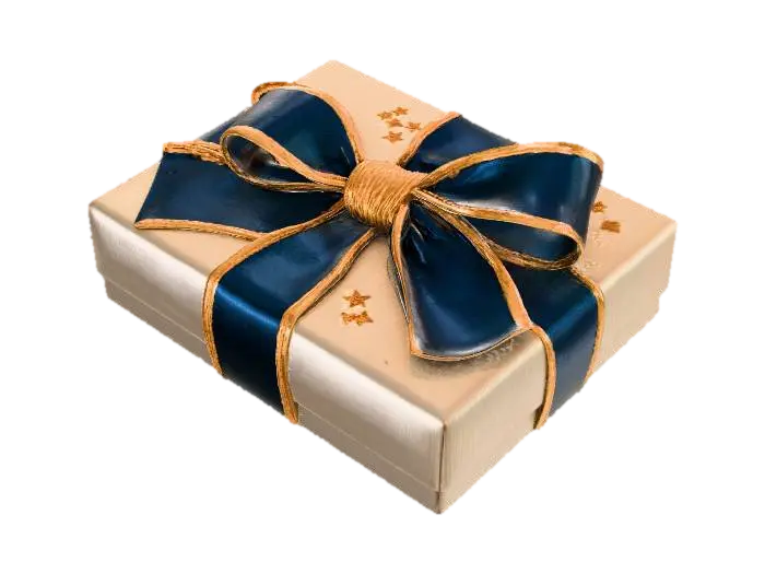 Gift Wrapped Blue Ribbon - Present 的 AI 生成 3D 模型