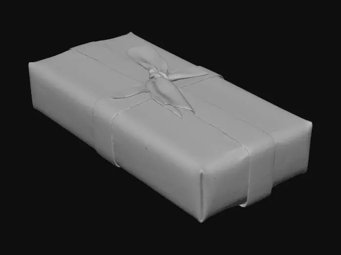 3D model for Gift Wrapped Lilac