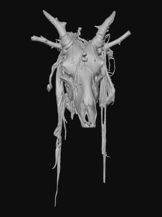 3D model for Animal Skull Relic