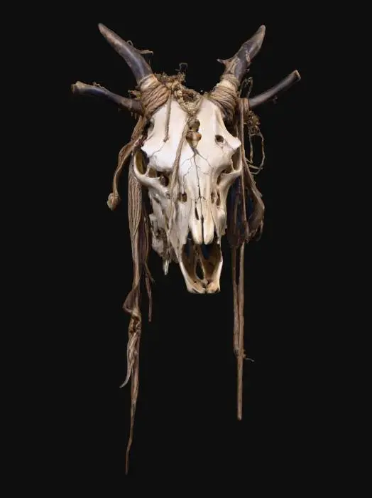 3D model for Animal Skull Relic