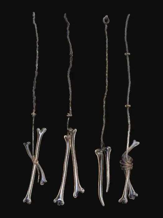 3D model for Bones and Cords