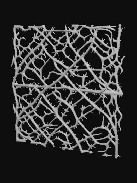 3D model for Ensnared with Thorns