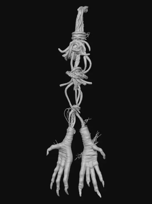 3D model for Tangled Hanging Birds Feet