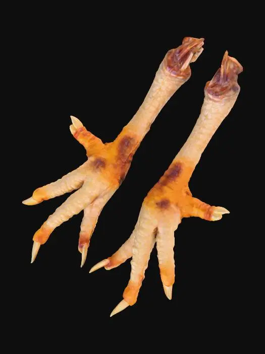 3D model for Chicken Feet Raw Close-up