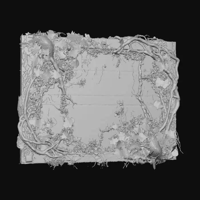 3D model for Woodland Frame