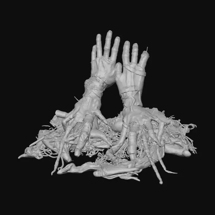 3D model for Rooted Hands
