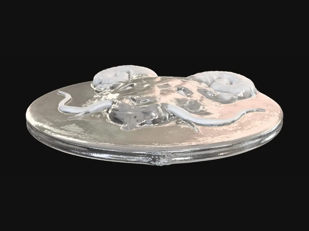 3D model for 简约国风麒麟头像浮雕，实心模型，清晰轮廓，细节细腻，纯白背景，适合3D打印雕刻，无破面无变形模糊，破面，扭曲，镂空过多，杂乱纹理，复杂背景