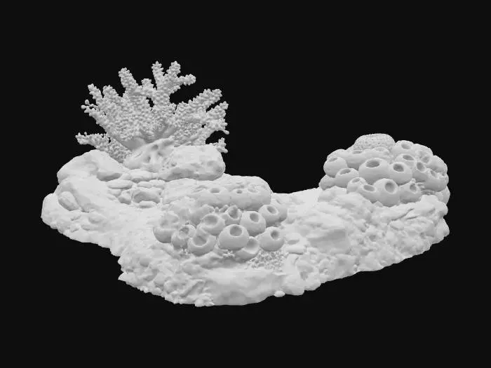 3D model for Underwater Serenity