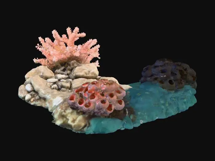 3D model for Underwater Serenity