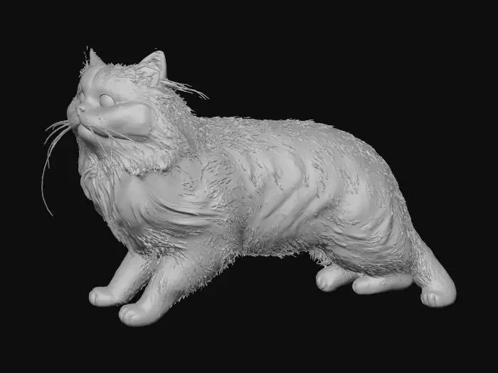 3D model for Fluffy Paws