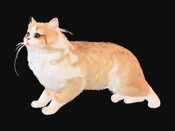 3D model for Fluffy Paws