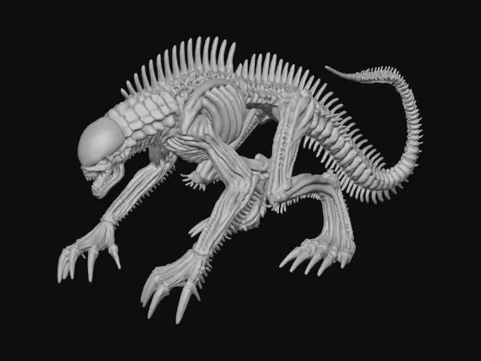 3D model for Spinebreaker Monster