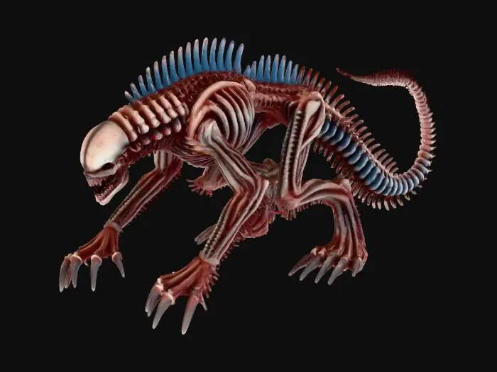 3D model for Spinebreaker Monster