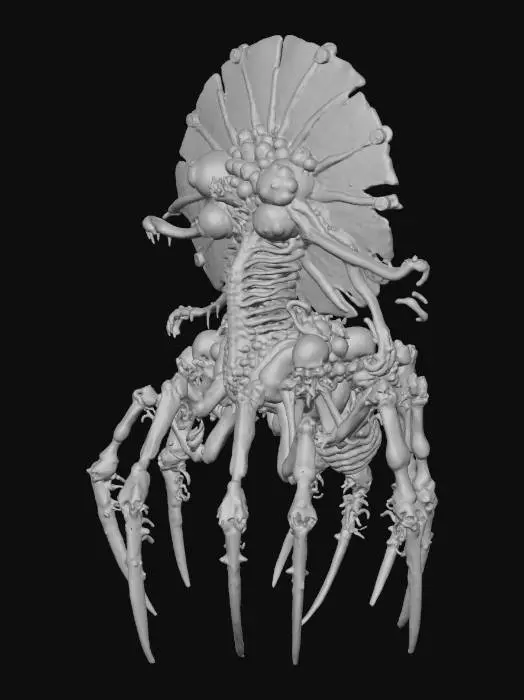 3D model for Whimsical Arthropod Fantasy