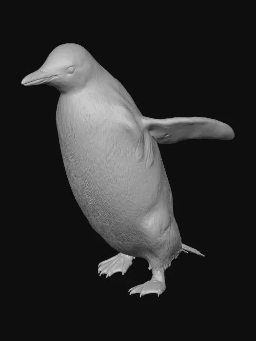 3D model for Penguin Stroll