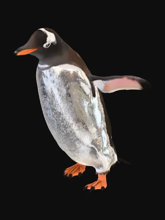 3D model for Penguin Stroll