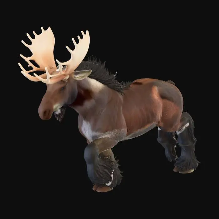 3D model for Moose Gallop