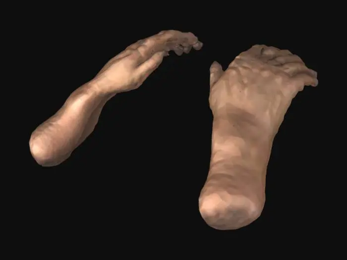 3D model for Hands Raised