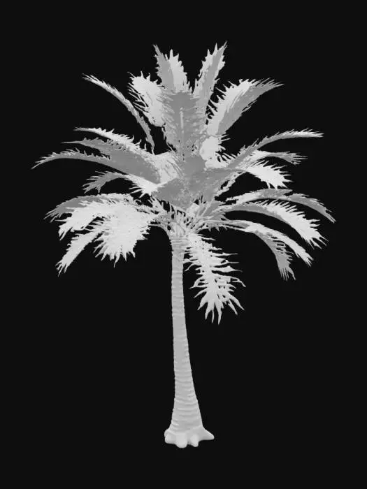 3D model for realistic 3D model of a broad-leaved tropical tree, wide canopy with vibrant green foliage, thick sturdy trunk, subtle curvature, suitable for forest or jungle environment, game optimized