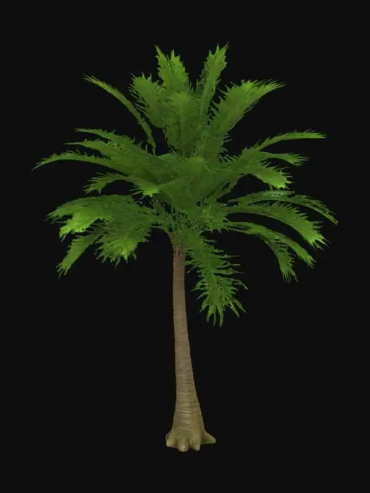 3D model for realistic 3D model of a broad-leaved tropical tree, wide canopy with vibrant green foliage, thick sturdy trunk, subtle curvature, suitable for forest or jungle environment, game optimized