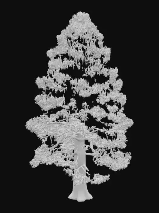 3D model for realistic 3D model of a tall himalayan pine tree, dense dark green needle foliage, rough bark texture, slightly irregular trunk shape, optimized for game environments, PBR textures