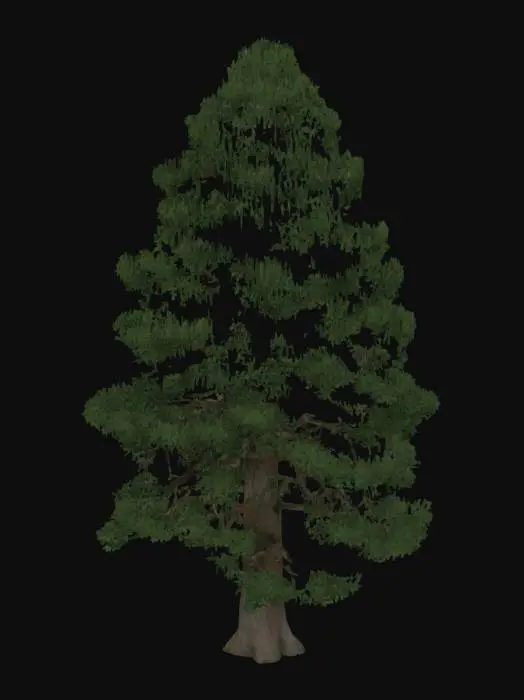 3D model for realistic 3D model of a tall himalayan pine tree, dense dark green needle foliage, rough bark texture, slightly irregular trunk shape, optimized for game environments, PBR textures