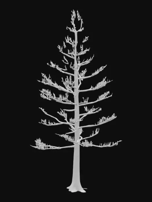 3D model for realistic 3D model of a tall himalayan pine tree, dense dark green needle foliage, rough bark texture, slightly irregular trunk shape, optimized for game environments, PBR textures