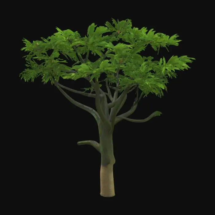 3D model for realistic 3D model of a broad-leaved tropical tree, wide canopy with vibrant green foliage, thick sturdy trunk, subtle curvature, suitable for forest or jungle environment, game optimized