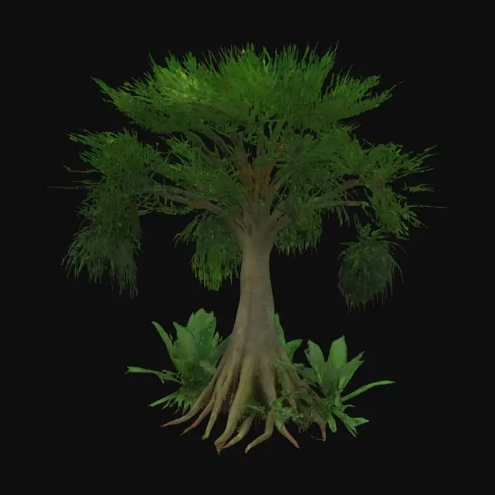 3D model for realistic 3D model of a broad-leaved tropical tree, wide canopy with vibrant green foliage, thick sturdy trunk, subtle curvature, suitable for forest or jungle environment, game optimized