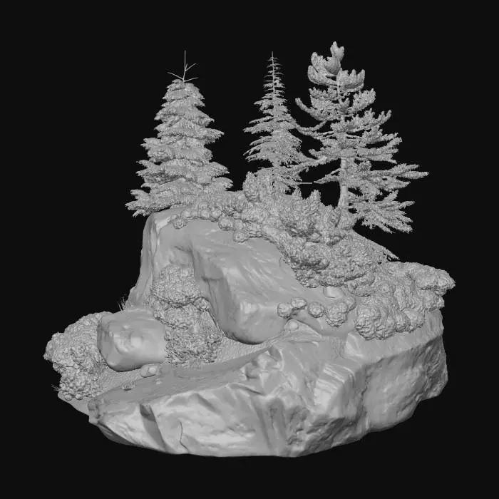 3D model for Pine Trees on a Rocky Outcrop