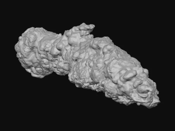 3D model for Crispy Chicken Strips