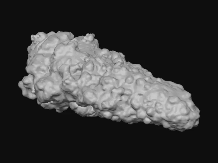 3D model for Chicken Curls