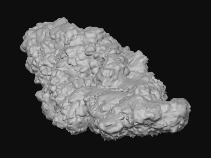 3D model for Crispy Delight