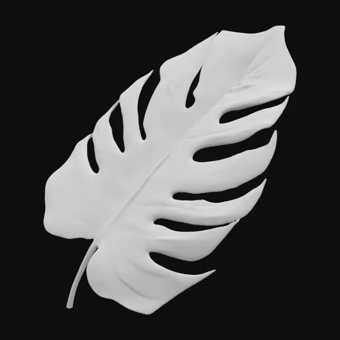 3D model for Monstera Elegance