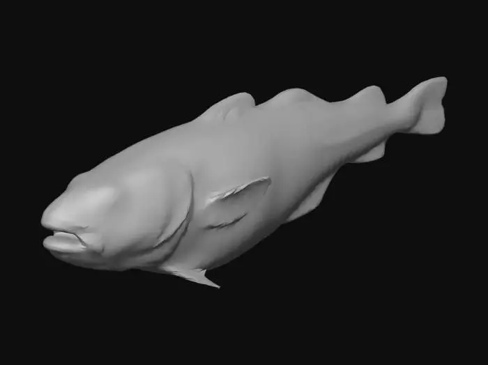3D model for Codfish on Blue Background
