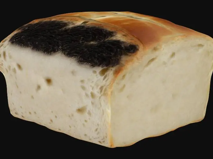 3D model for black crust, white center bread, cut in half