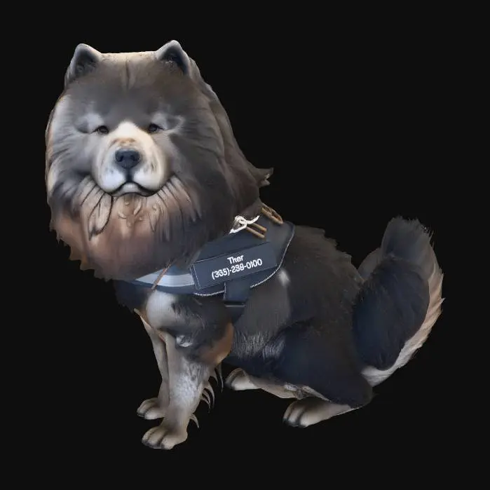 3D model for Fluffy Adventurer