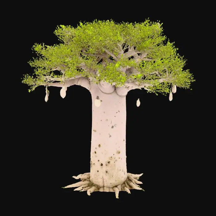 3D model for Imbondeiro