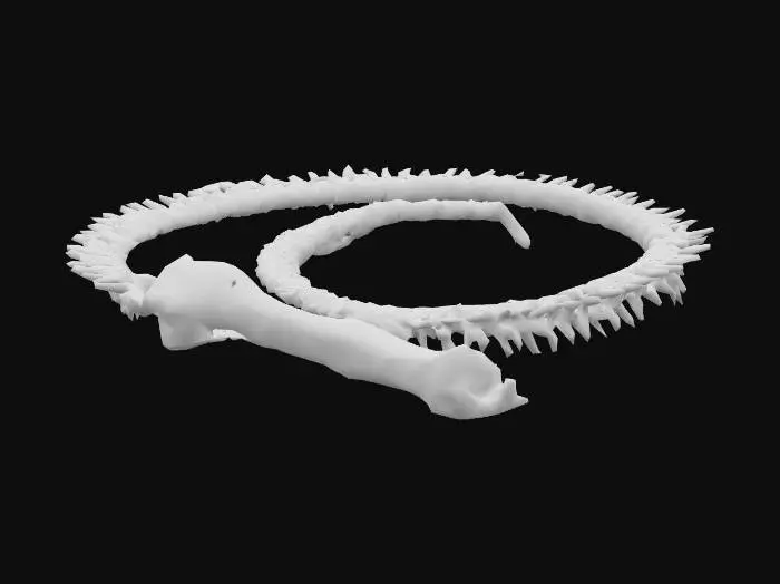 3D model for Spinal Whip