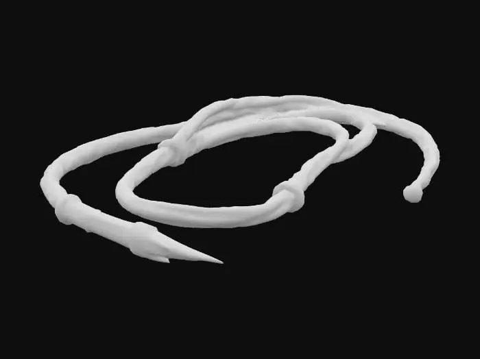 3D model for A long, braided leather whip, meticulously woven from dark, rich brown hide. Its surface is smooth and pliable, feeling supple yet firm, tapering gracefully from a thick, ergonomic handle wrapped in slightly coarser leather, to a fine, pointed cracker. The overall shape is sinuous and flexible, with a subtle sheen that catches the light, conveying strength and fluidity.